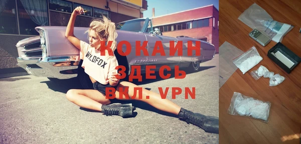 мдпв Рославль
