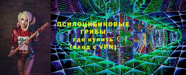 мдпв Рославль